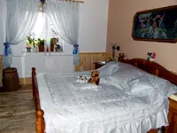 SDC12669.webp