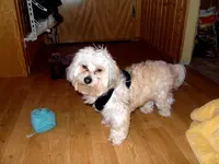 SDC12659.webp