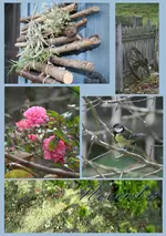 NOVEMBER iMPRESSIONEN.webp