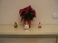 DSCF4467.webp