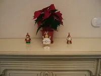 DSCF4466.webp