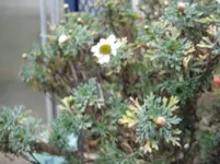 IMG_3263.webp
