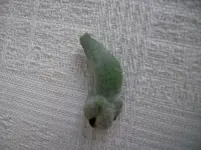 Guave3klm.webp