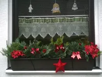PIC00894.webp