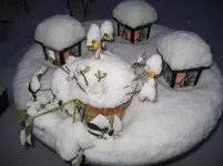 Laternen im Schnee.webp