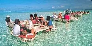 Picknick im Meer.webp