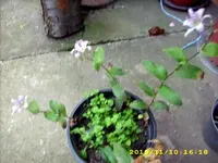 JD500569.webp