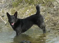 missy16.webp