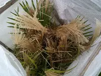 IMG086.webp