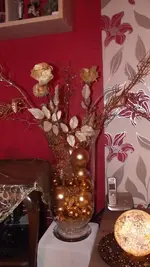 21.11.2010 008.webp
