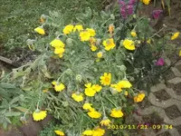 JD500006.webp