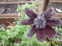 JD500015.webp
