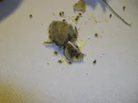 IMGP3299.webp