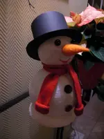 SANY1240kml.webp