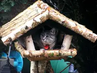 1024_Usch i.Futterhaus I.webp