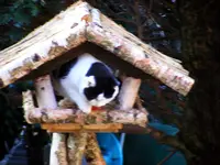 1024_Nora i.Futterhaus.webp