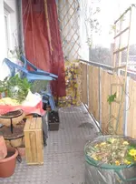 Winterfest (2).webp