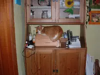 DSCF0029.webp