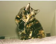 Sherry.webp