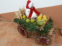Außendeko 2010 Weihnachten 012.webp
