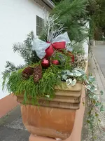 Außendeko 2010 Weihnachten 017.webp