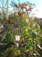 Herbsttag 2.webp