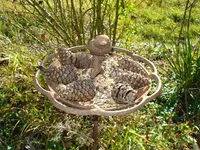 Vogelfutterstelle.webp