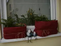 Wintervorbereitungen.webp