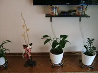 DSCF4512.webp