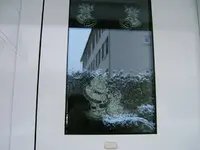 DSCF4516.webp