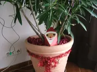 DSCF4517.webp