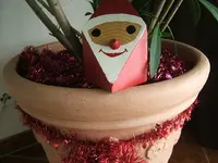 DSCF4518.webp