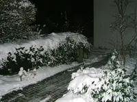 DSCF4520.webp
