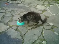 IMAG0176.webp