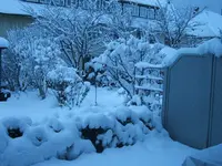 DSCF4527.webp