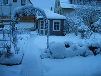 DSCF4526.webp