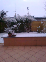 Garten im Schnee 1.webp