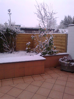 Garten im Schnee 2.webp