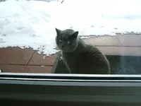 DSCF4536.webp