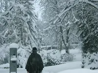 DSCF4553.webp