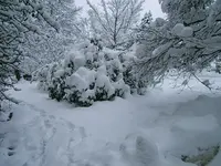 DSCF4559.webp