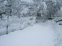 DSCF4560.webp