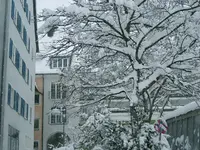 DSCF4547.webp