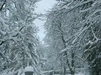 DSCF4554.webp
