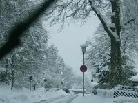 DSCF4555.webp