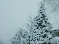 DSCF4557.webp