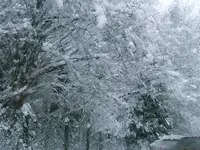 DSCF4564.webp