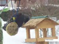 Wintervorrat.webp