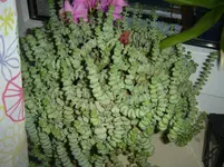 DSC09157.webp