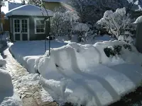 DSCF4575.webp